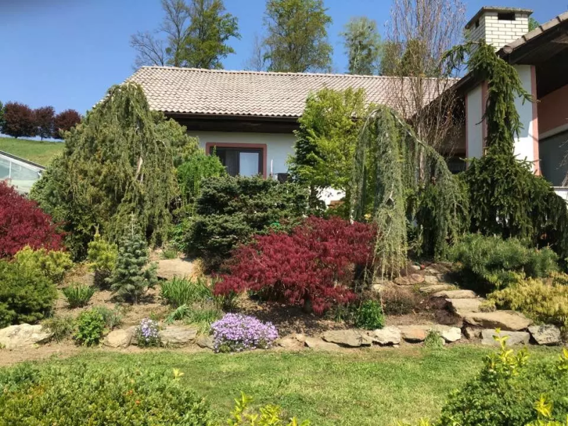 Balkonsko cvetje Savinjska