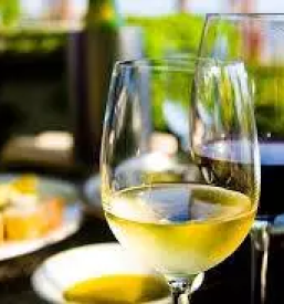 Najboljša bela vina Vipavska dolina