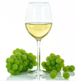 Bela vina vipavska dolina