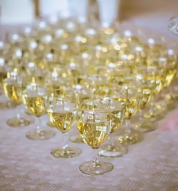 Best white wine slovenia