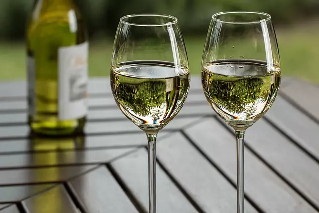 Best white wine Slovenia