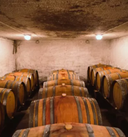 Best wine in slovenia