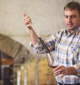 Best wine in slovenia