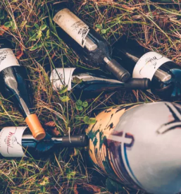 Best wine in slovenia