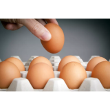 Damjan Vogrinec s.p.