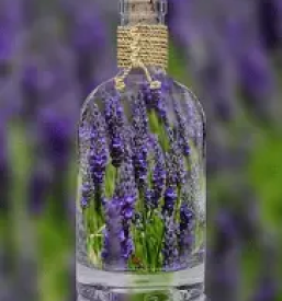 Bio mazila za telo v sloveniji