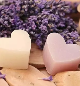 Bio mazila za telo v sloveniji