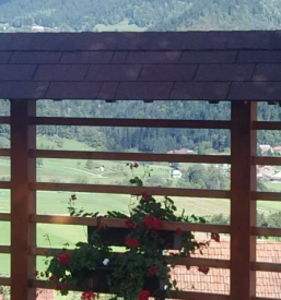 Brune opaz stajerska