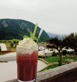 Buona trattoria bohinj