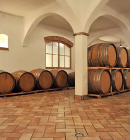 quality wines Goriška Brda
