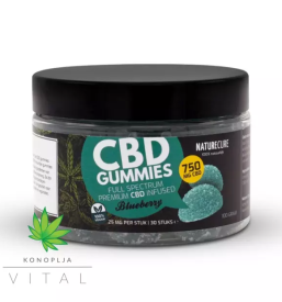 Cbd izdelki primorska