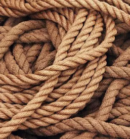 Carinjenje carinske robe slovenija