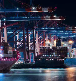 Carinjenje robe iz tretjih drzav slovenija