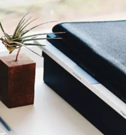 Carinsko posrednistvo maribor slovenija