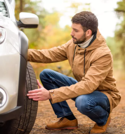 Cenitve skod trbovlje