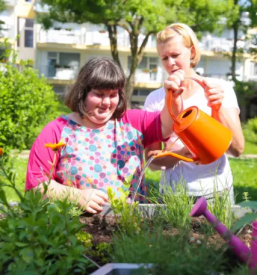 Center za usposabljanje delo in varstvo dolfke bostjancic draga