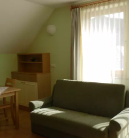 Cheap apartment in central slovenia
