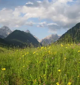 Kamp Kranjska Gora