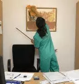 Ciscenje zasebnih stanovanj stajerska