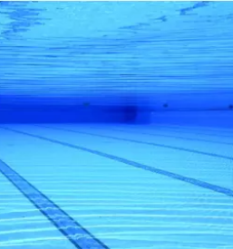 Cistilec bazenov slovenija