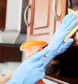 Cistilni servis ljubljana z okolico