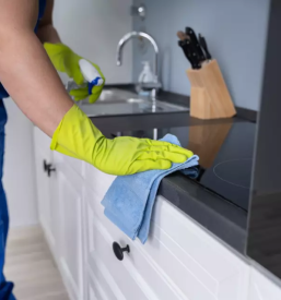 Cistilni servis posavje