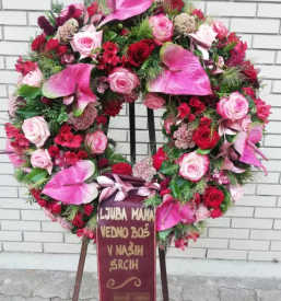 Venci Ljubljana Fužine