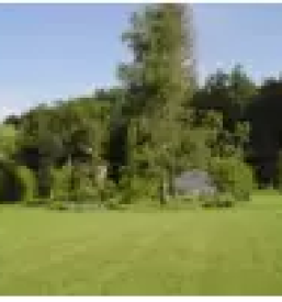 Cvetlicarna osrednja slovenija