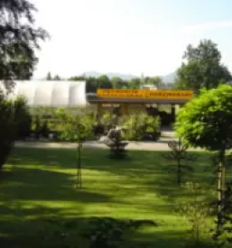 Cvetlicarna osrednja slovenija