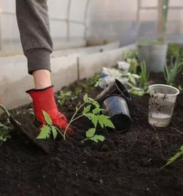 Cvetličarna Koroška