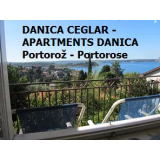 DANICA CEGLAR - SOBODAJALKA