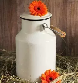 Dairy cooperative slovenia