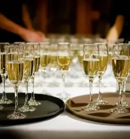 Degustacija belih vin vipava