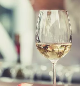 Degustacija belih vin vipava