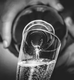 Degustacija dobrih penecih vin vipavska dolina