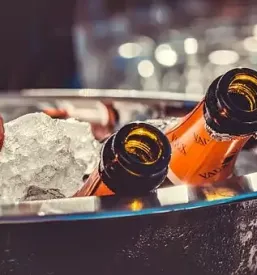 Degustacija dobrih penecih vin vipavska dolina