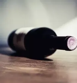 Degustacija rdecih vin vipava