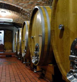 Degustacija vin za zakljucene druzbe stajerska