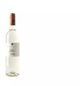 Degustacija vin za zakljucene druzbe stajerska