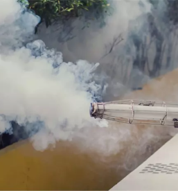 Deratizacija dezinsekcija in dezinfekcija ljubljana