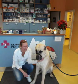 Dežurna veterinarska klinika Ljubljana Šiška