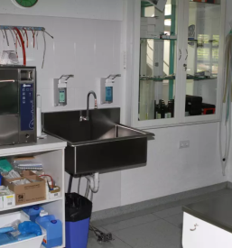 Diagnostika za pse in mačke v sloveniji