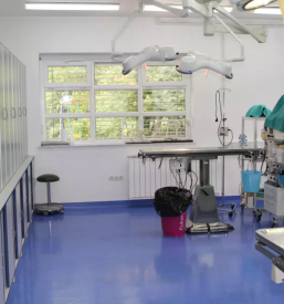 Diagnostika za mačke 