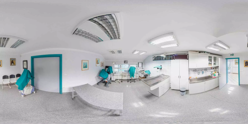 Diagnostika za pse in mačke v Sloveniji