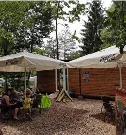 Dinozaver park slovenija