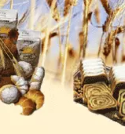 Dnevno sveza pekarna maribor