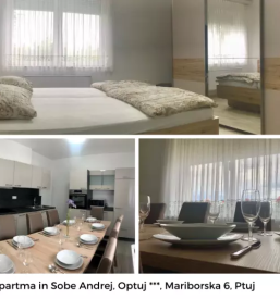 Dober apartma na Podravskem