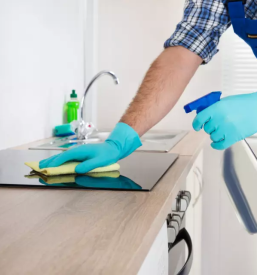 Dober cistilni servis goriska