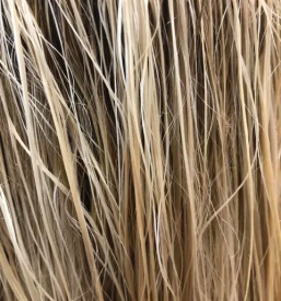 Dober frizer v kamniku