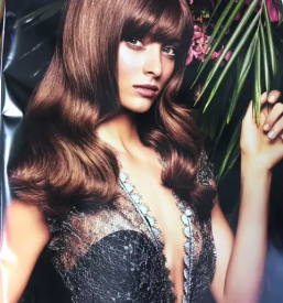 Dober frizer v kamniku